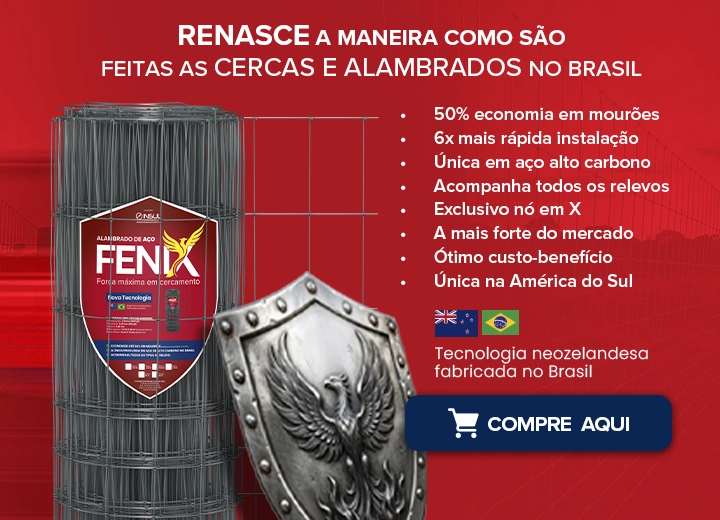 Banner Fenix
