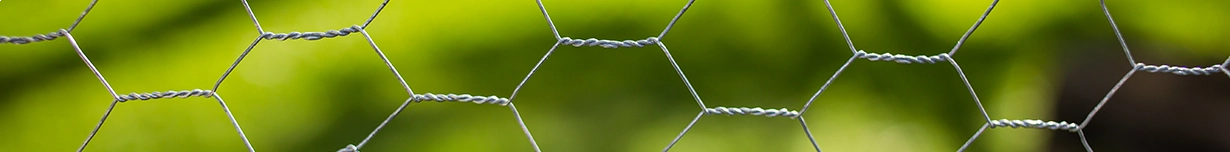 Banner de Tela para Pinteiro