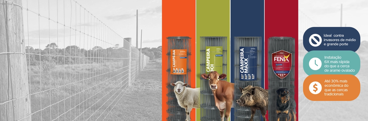 Banner Principal Desktop