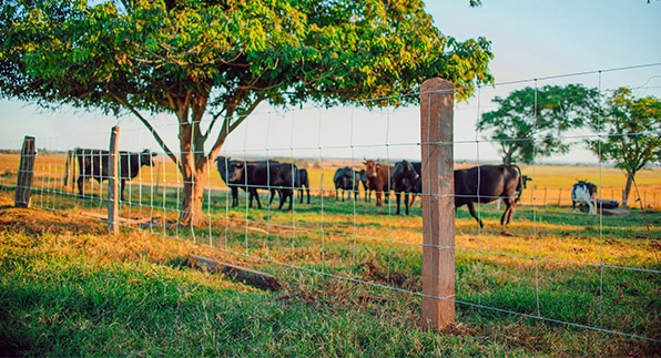 Imagem mostrando a aplicação da tela residência em um quintal de uma casa com tijolos marrons e com janelas de vidros compridas