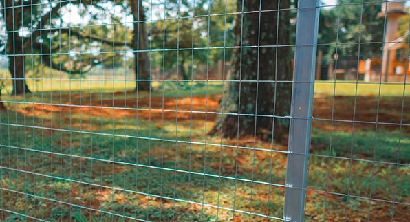 Imagem mostrando a aplicação das telas para horta e jardim em uma fazenda