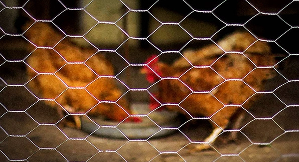 Imagem mostrando uma casa nas cores branca e marrom segura e protegida, pois esta utilizando as telas para casa vendidas pela Casa das Cercas