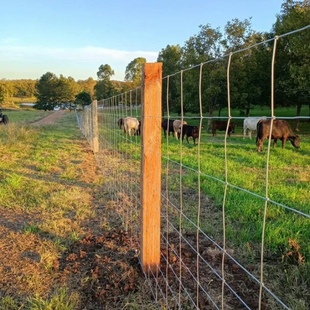 Produto KIT Campeira Maxx + Catraca - 1,80m X 50m