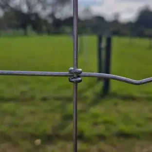 Produto Cerca Pronta Campeira Java - Malha 15x10cm - Fios de Aço 2,50mm - 650kgf - 50m Produto Produto Cerca Pronta Campeira Java - Malha 15x10cm - Fios de Aço 2,50mm - 650kgf - 50m